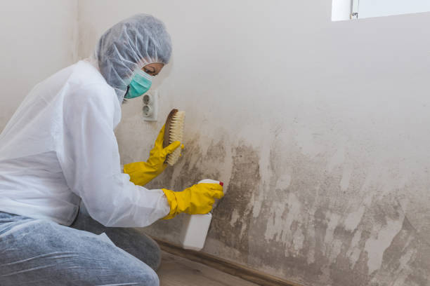 Best Residential Mold Inspection & Testing  in Mitchell, NE